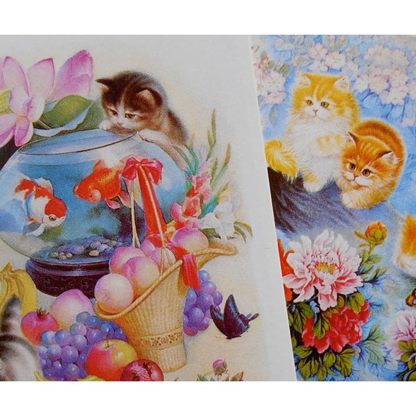 画像2: 猫と花のポストカードセット