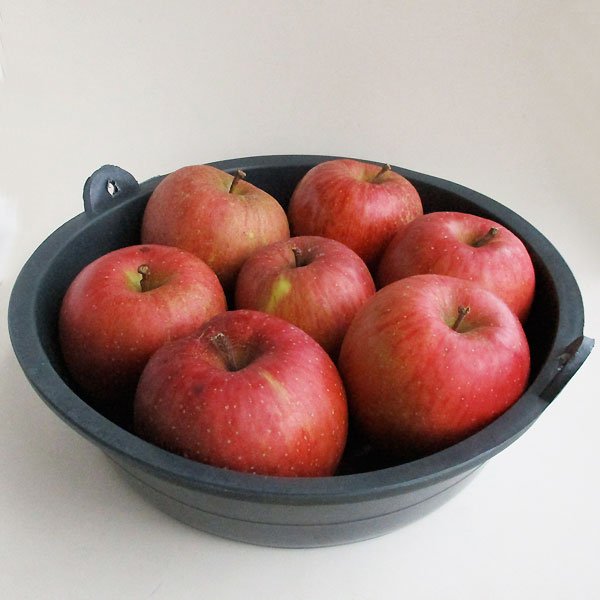 画像8: 鶏盆プラスチック桶