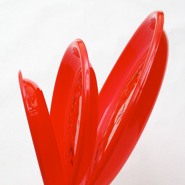 画像4: ダブルハピネス赤プラトレイ