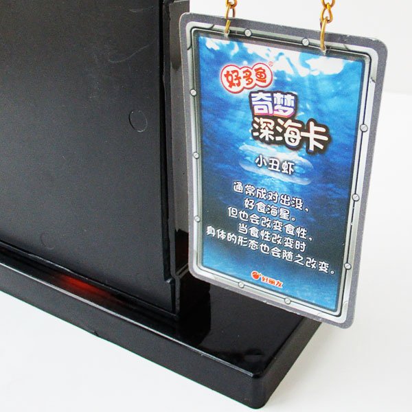 画像10: 温馨祝福フォトスタンド