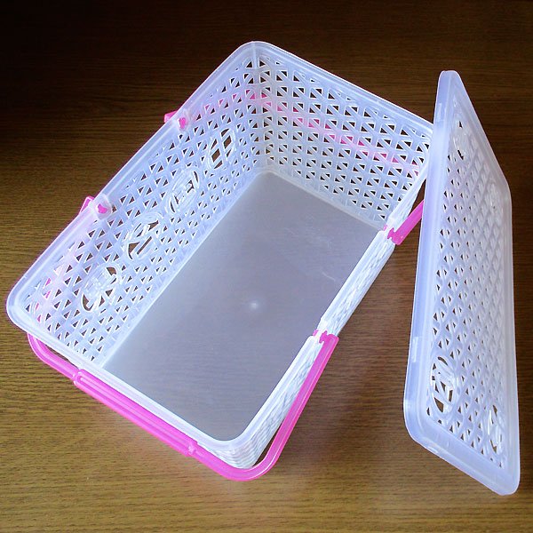 画像4: 中国名果フタつきバスケット