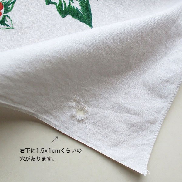 画像7: 鯉と花のレトロクロス