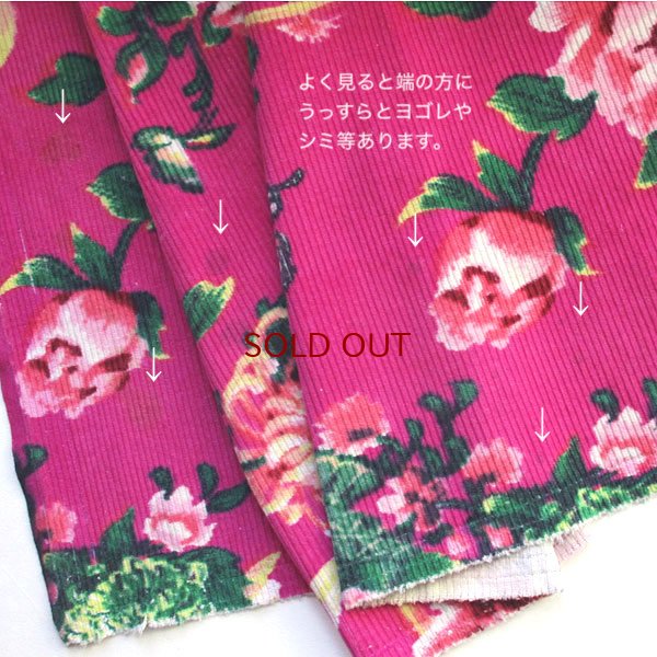 画像8: 花と蝶のコーデュロイ生地