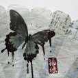 画像3: 蝶々プラ扇子 (3)